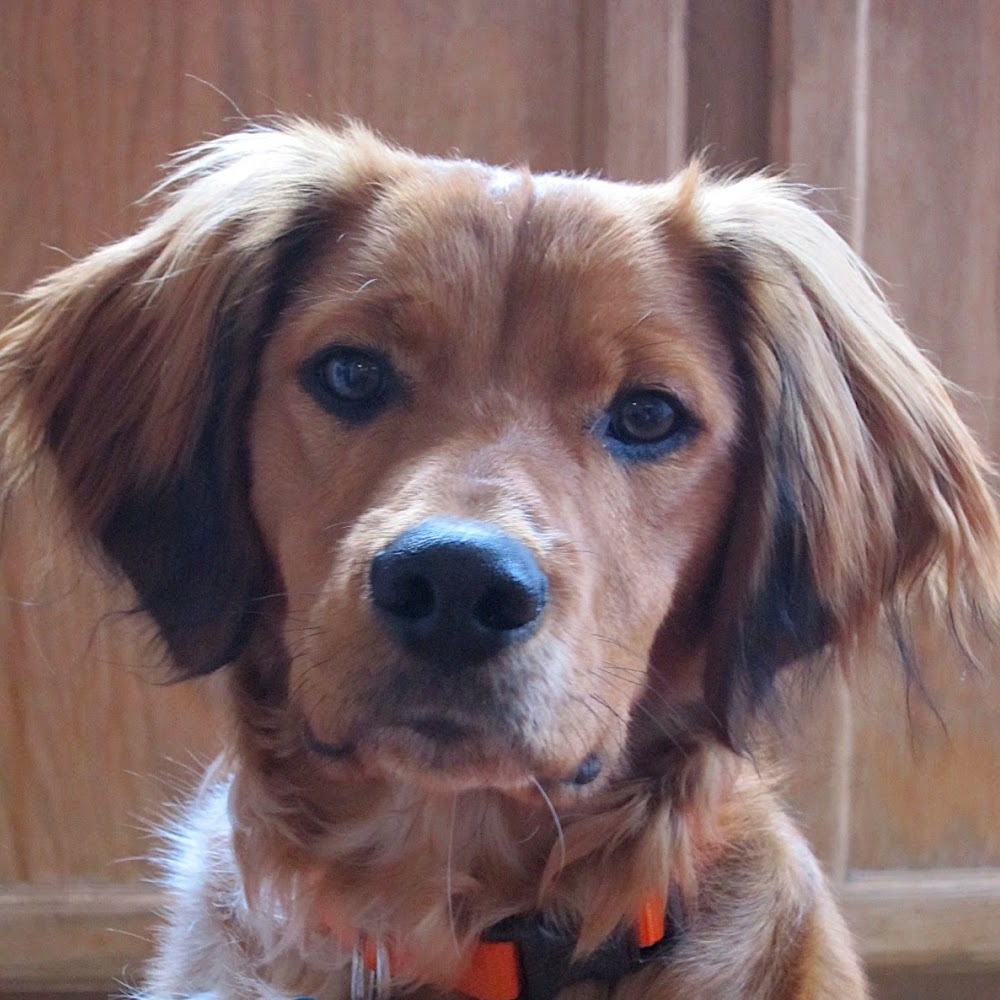 Meet your Posher, Nikki